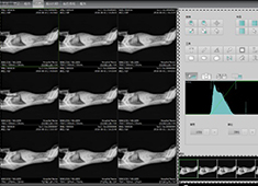 寵物專用DR采購指南:如何挑選一臺寵物DR